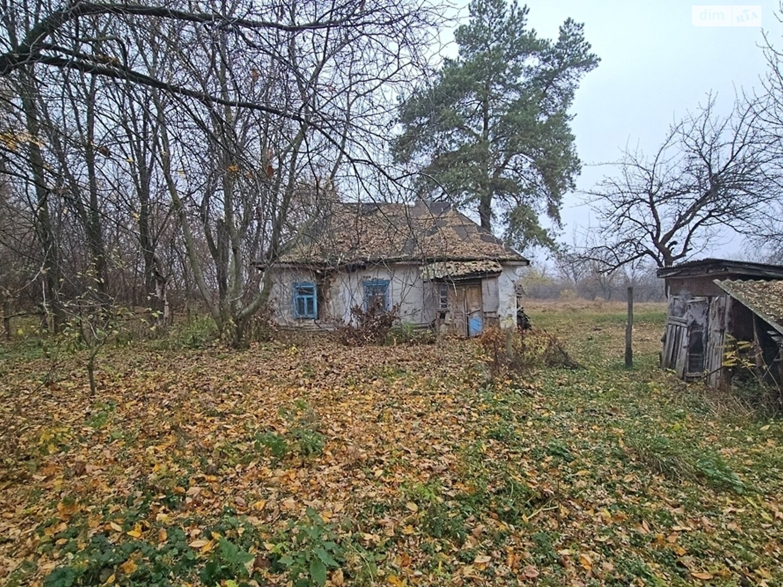 одноповерховий будинок з верандою, 65.7 кв. м, цегла. Продаж у Ярешках фото 1 одноповерховий будинок з верандою, 65.7 кв. м, цегла. Продаж у Ярешках фото 1