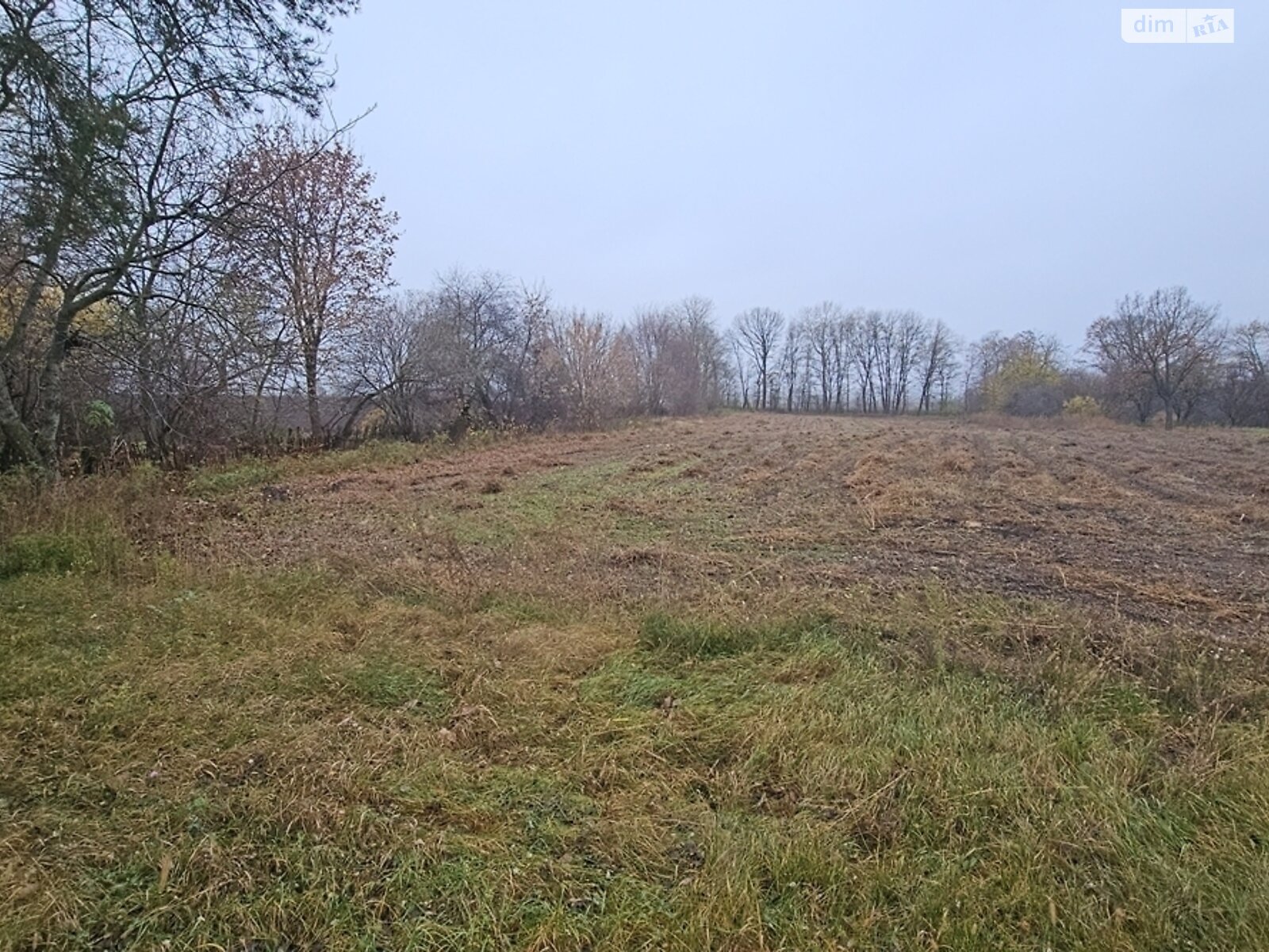 одноповерховий будинок з верандою, 65.7 кв. м, цегла. Продаж у Ярешках фото 1 одноповерховий будинок з верандою, 65.7 кв. м, цегла. Продаж у Ярешках фото 1