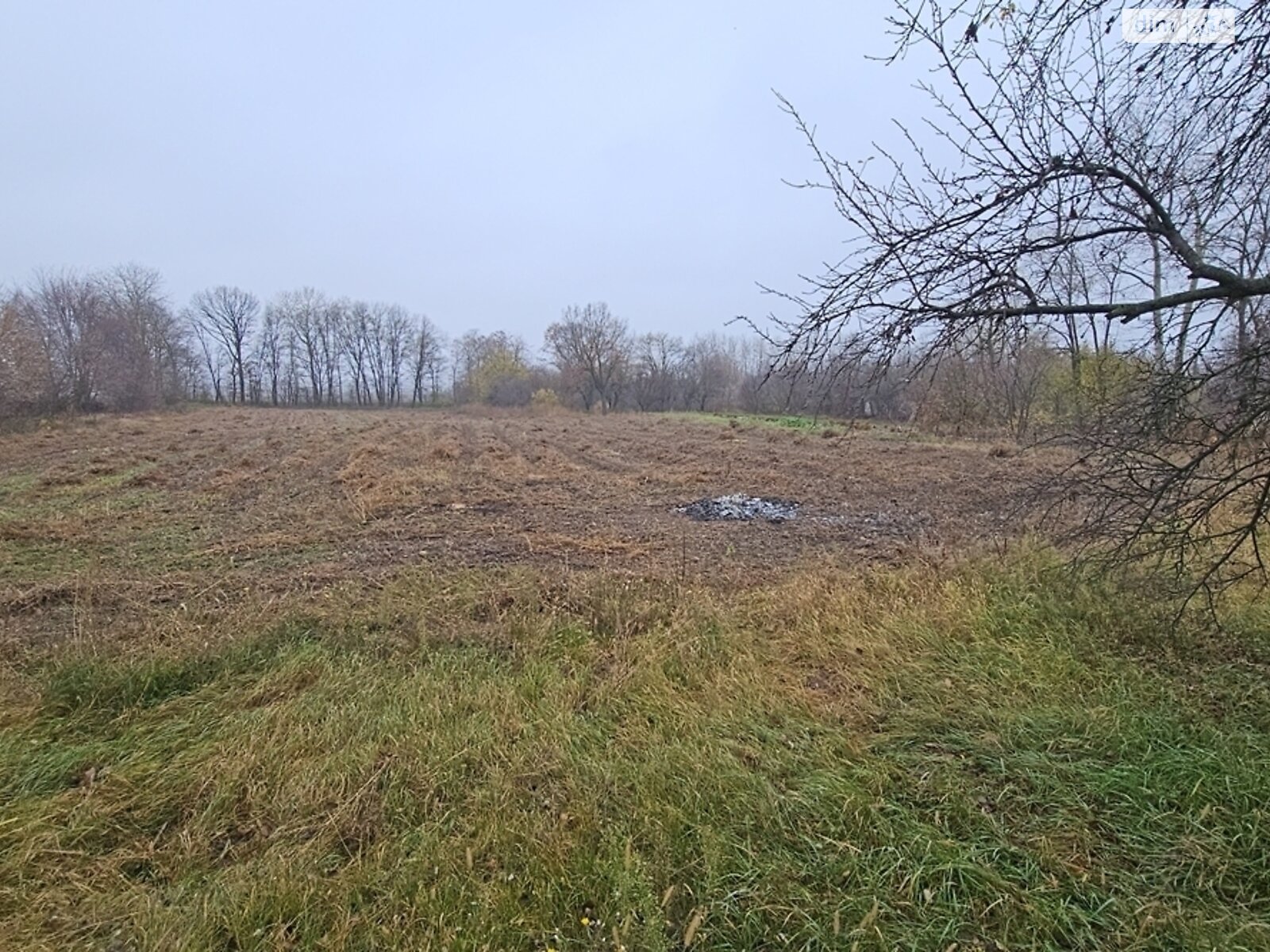 одноповерховий будинок з верандою, 65.7 кв. м, цегла. Продаж у Ярешках фото 1 одноповерховий будинок з верандою, 65.7 кв. м, цегла. Продаж у Ярешках фото 1