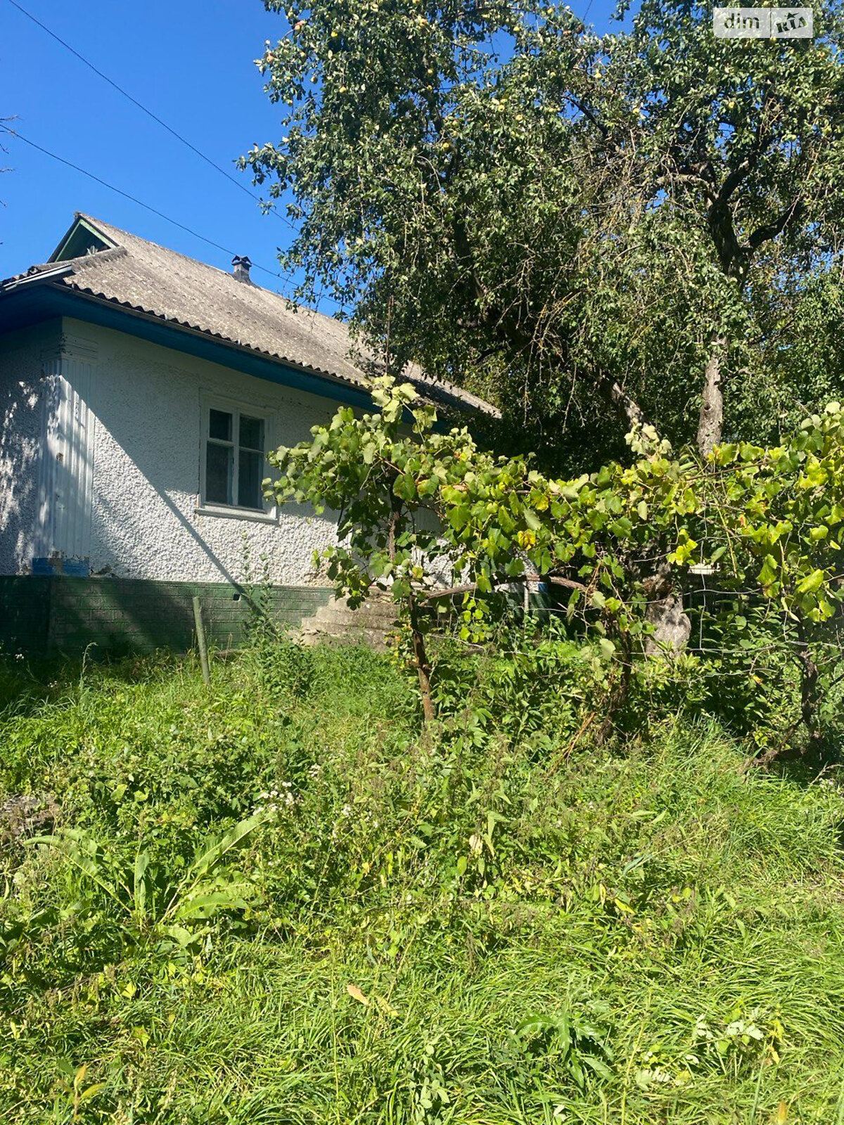 одноэтажный дом, 55.9 кв. м, кирпич саманный. Продажа в Яруге фото 1 одноэтажный дом, 55.9 кв. м, кирпич саманный. Продажа в Яруге фото 1