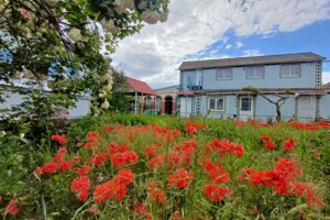 одноповерховий будинок бесідка, 119 кв. м, цегла. Продаж у Яришівці фото 2