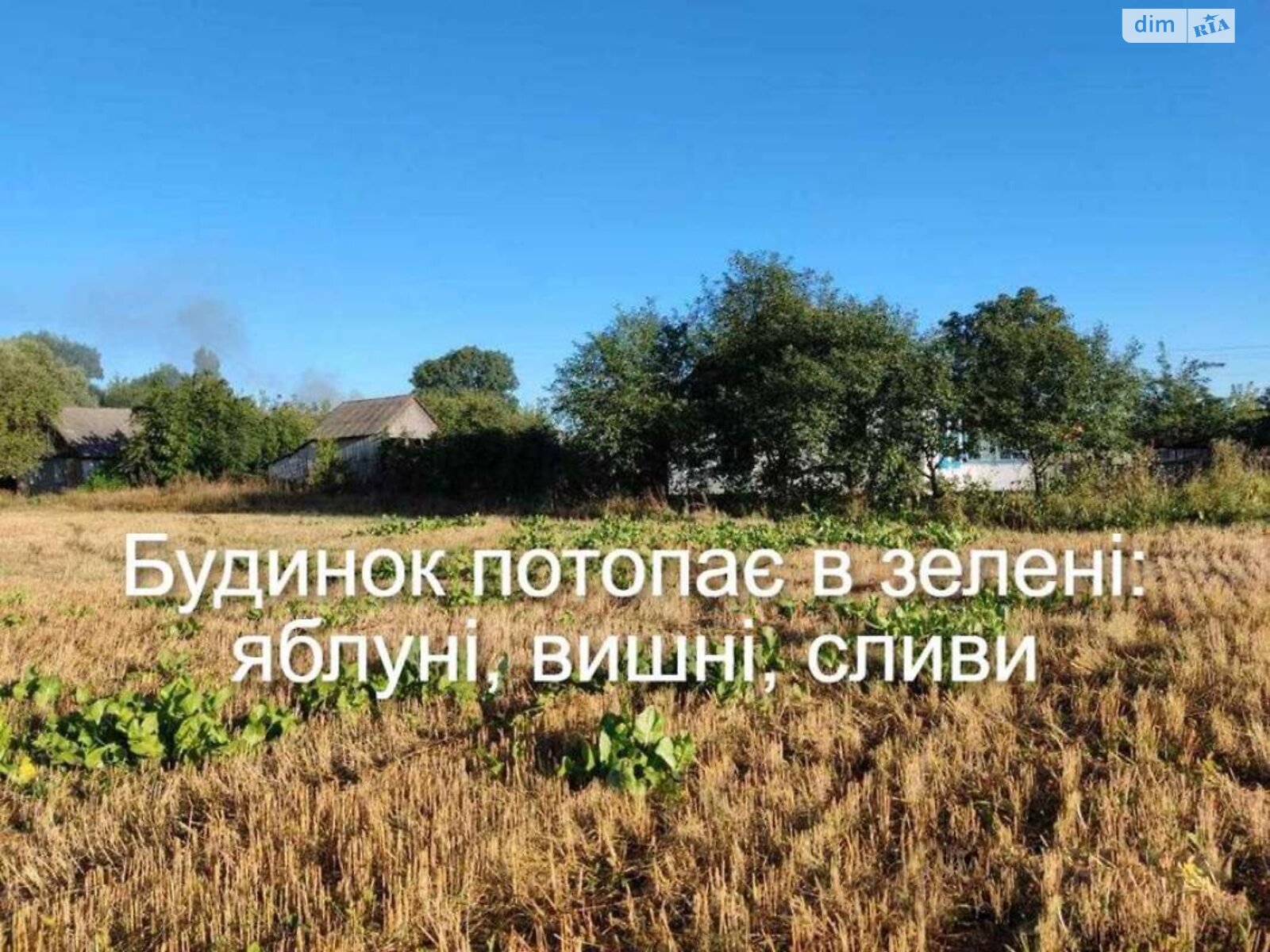 одноэтажный дом с верандой, 60 кв. м, кирпич. Продажа в Шевченко фото 1 одноэтажный дом с верандой, 60 кв. м, кирпич. Продажа в Шевченко фото 1
