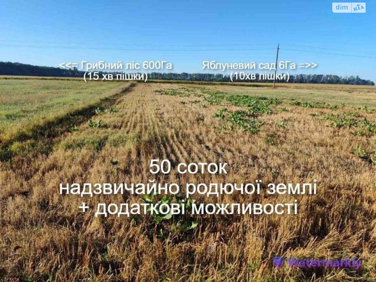 одноэтажный дом с верандой, 60 кв. м, кирпич. Продажа в Шевченко фото 1 одноэтажный дом с верандой, 60 кв. м, кирпич. Продажа в Шевченко фото 1