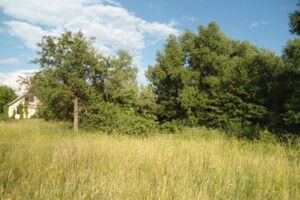одноповерховий будинок, 50 кв. м, кирпич. Продаж у Ястребеньці фото 2