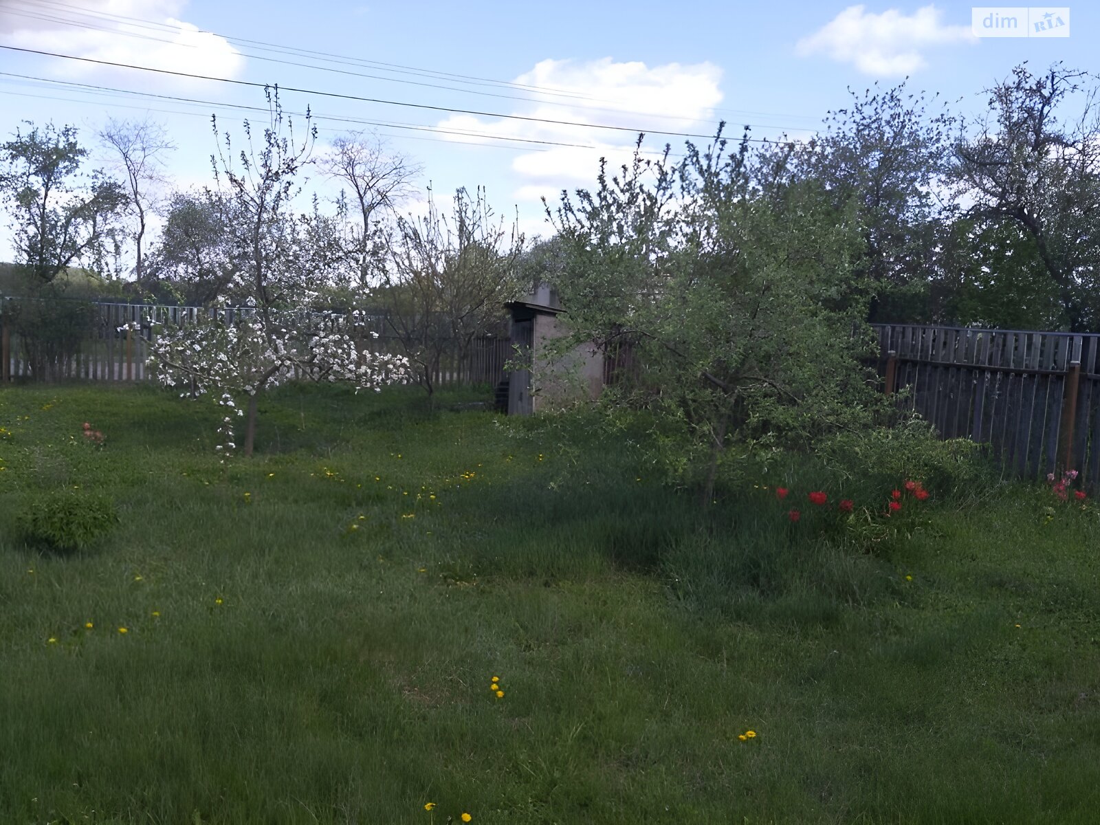 одноповерховий будинок бесідка, 90 кв. м, зруб. Продаж у Яцьках фото 1