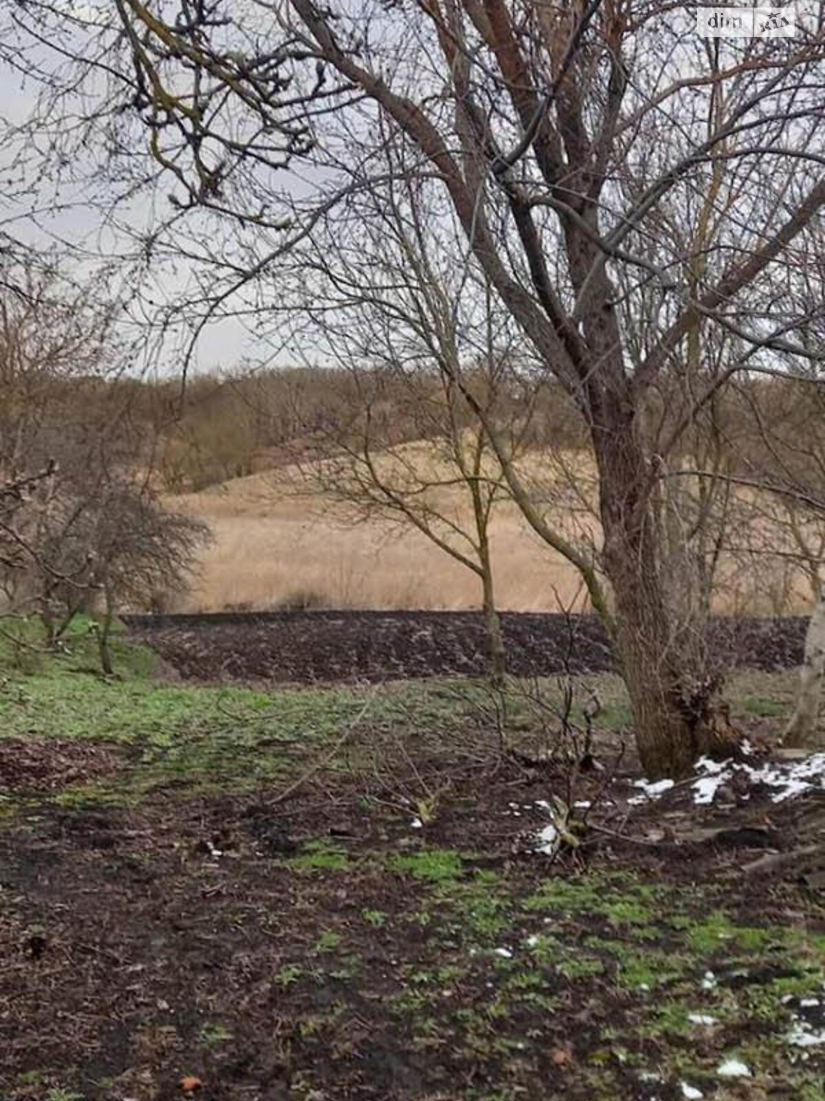 одноповерховий будинок, 71.5 кв. м, кирпич. Продаж у Юшкові Розі фото 1