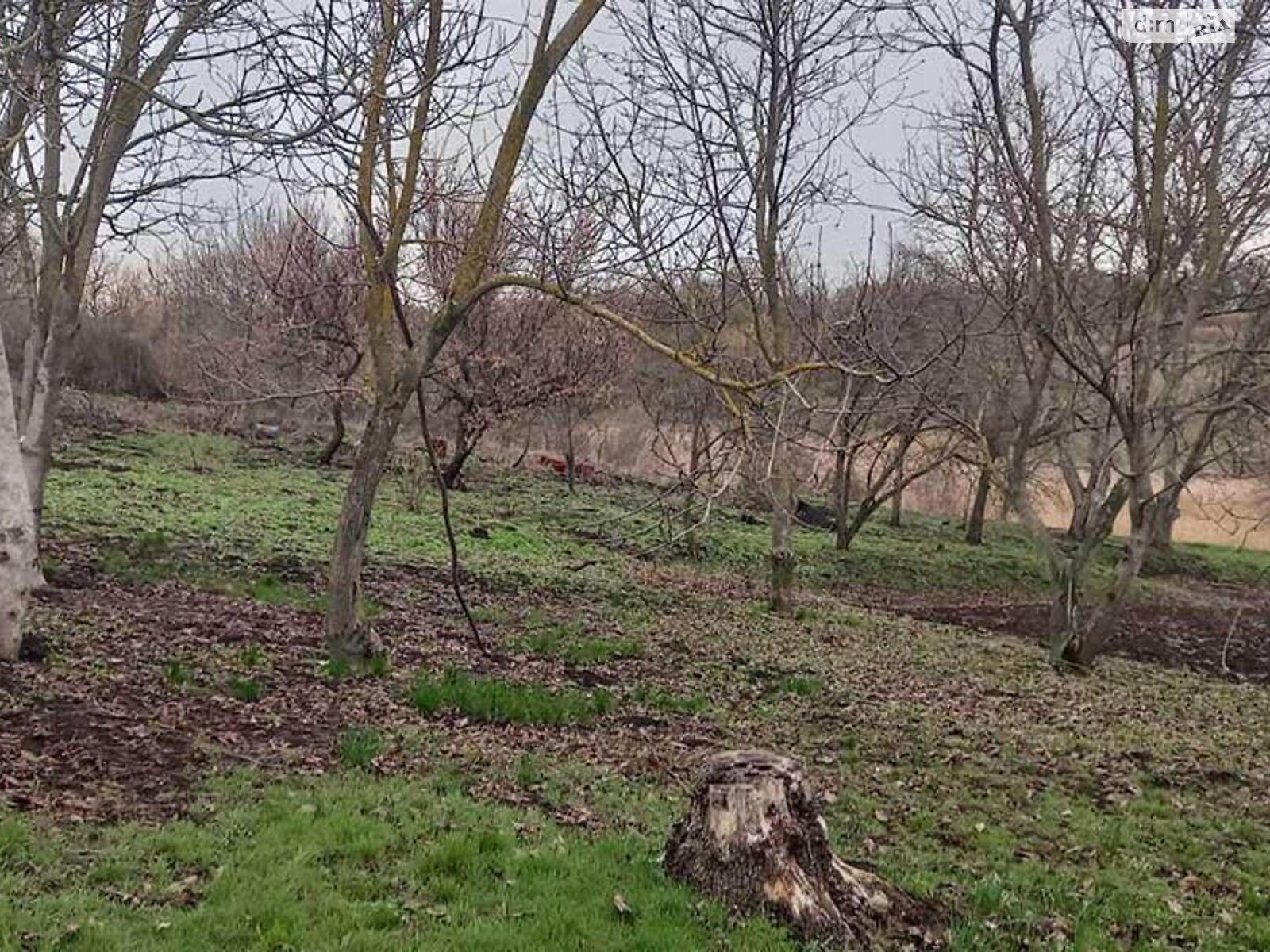 одноповерховий будинок, 71.5 кв. м, кирпич. Продаж у Юшкові Розі фото 1