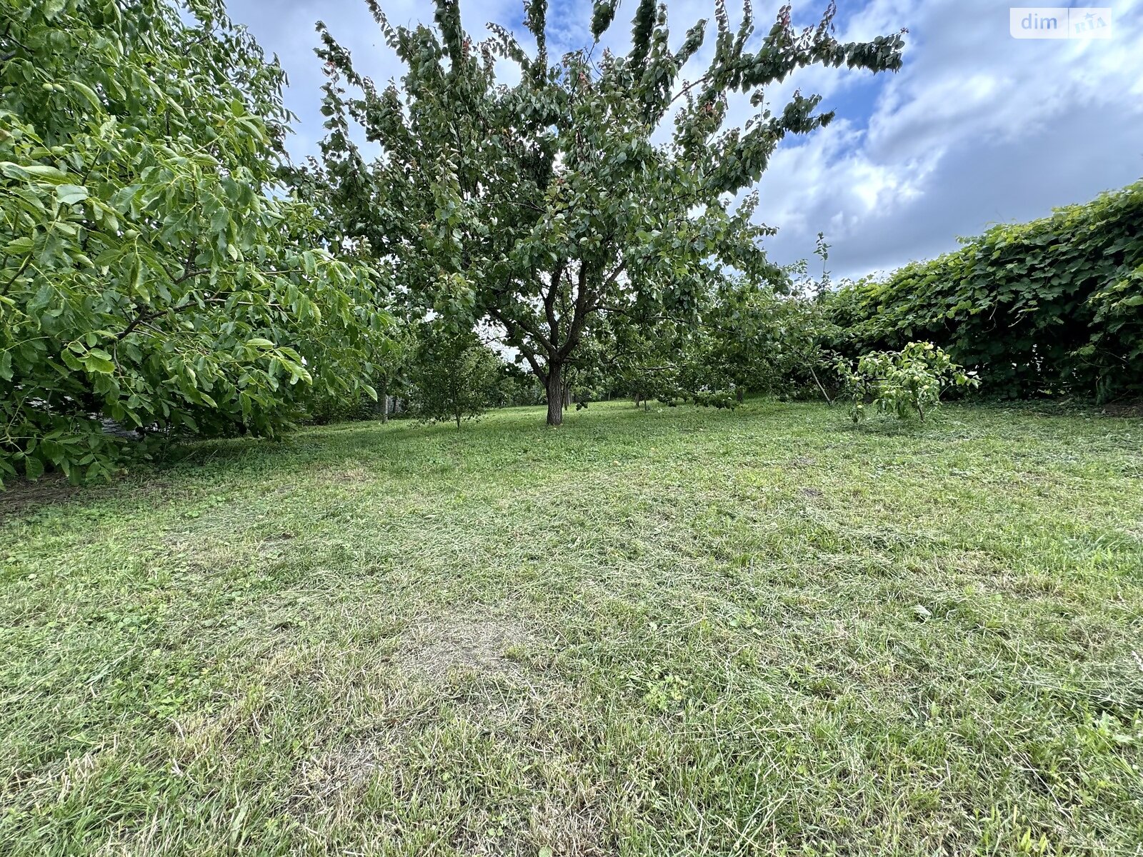 двухэтажный дом беседка, 89 кв. м, кирпич. Продажа в Забороле фото 1 двухэтажный дом беседка, 89 кв. м, кирпич. Продажа в Забороле фото 1