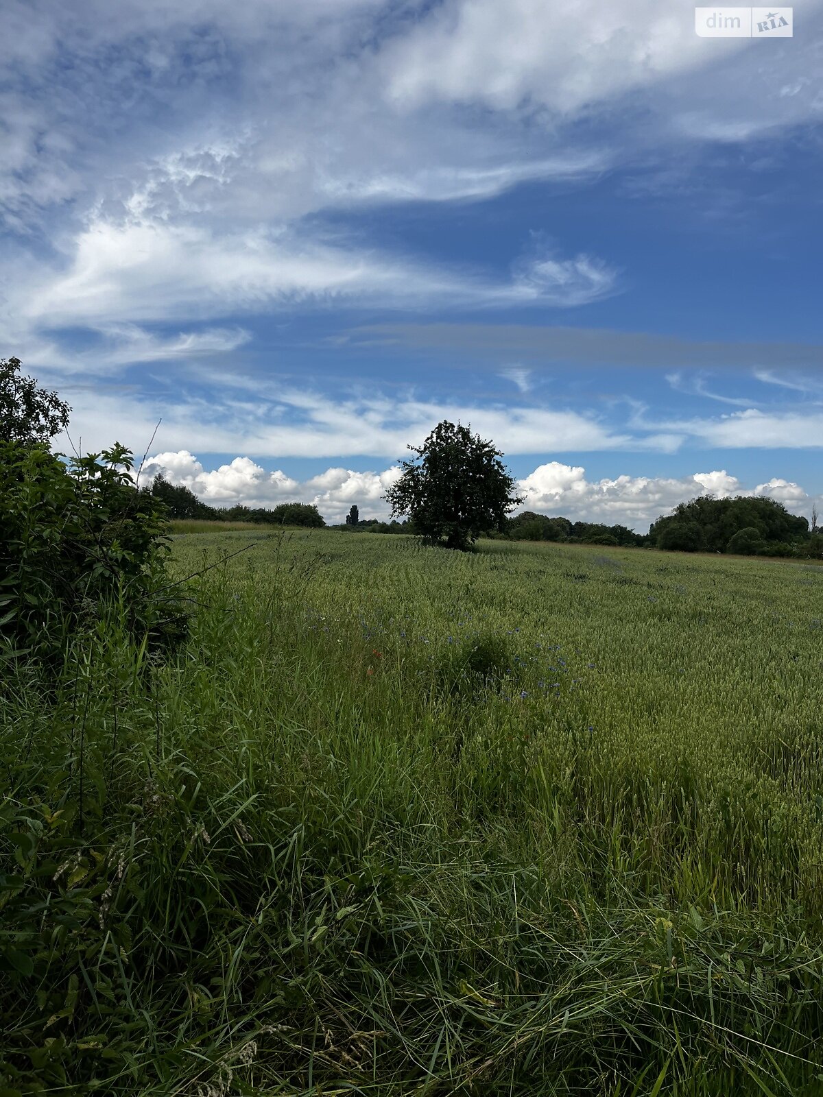 одноэтажный дом, 88.5 кв. м, дерево и кирпич. Продажа в Забродье фото 1