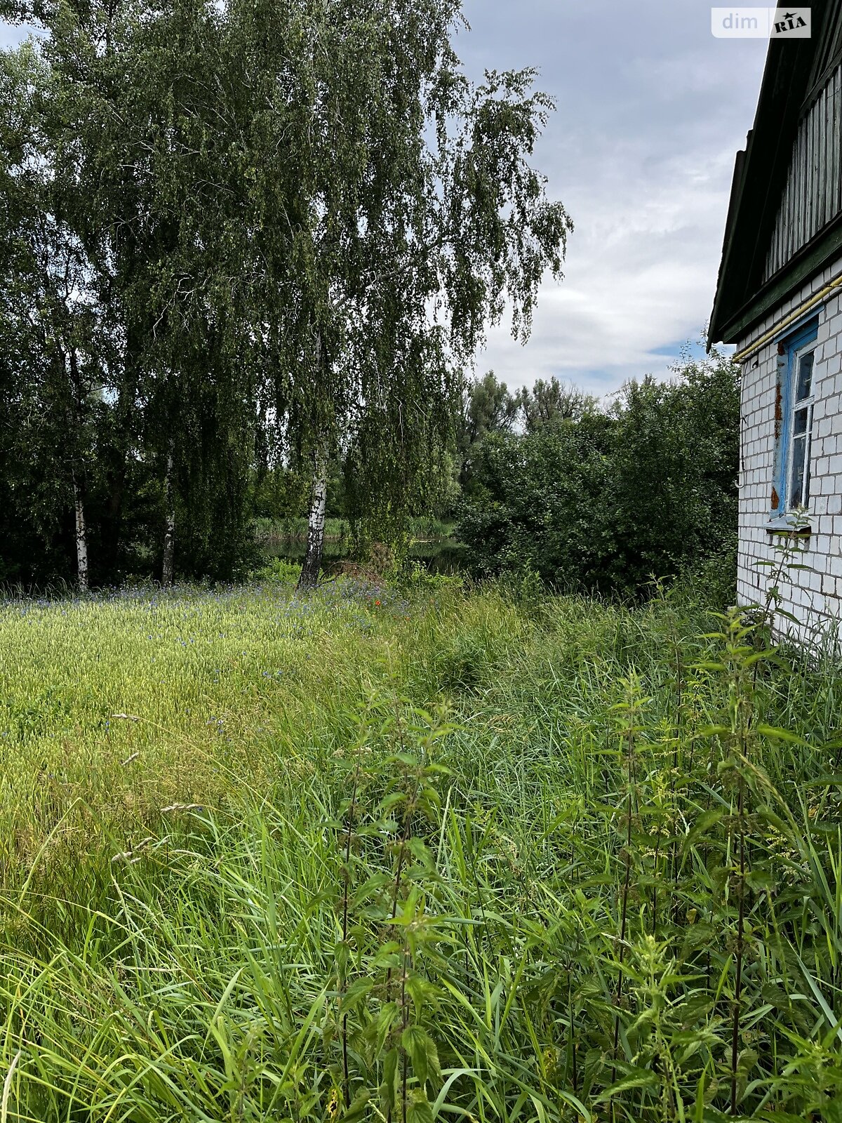 одноэтажный дом, 88.5 кв. м, дерево и кирпич. Продажа в Забродье фото 1