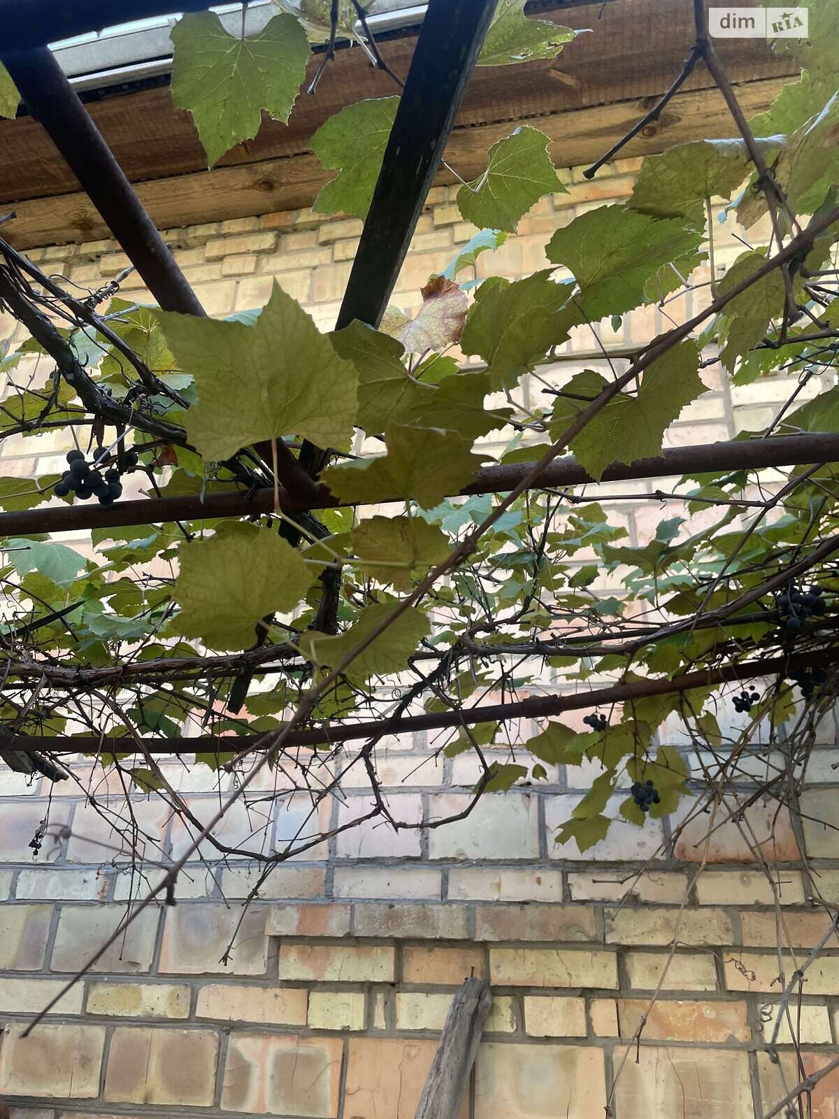 одноповерховий будинок з верандою, 186 кв. м, цегла. Продаж у Забуччі фото 1