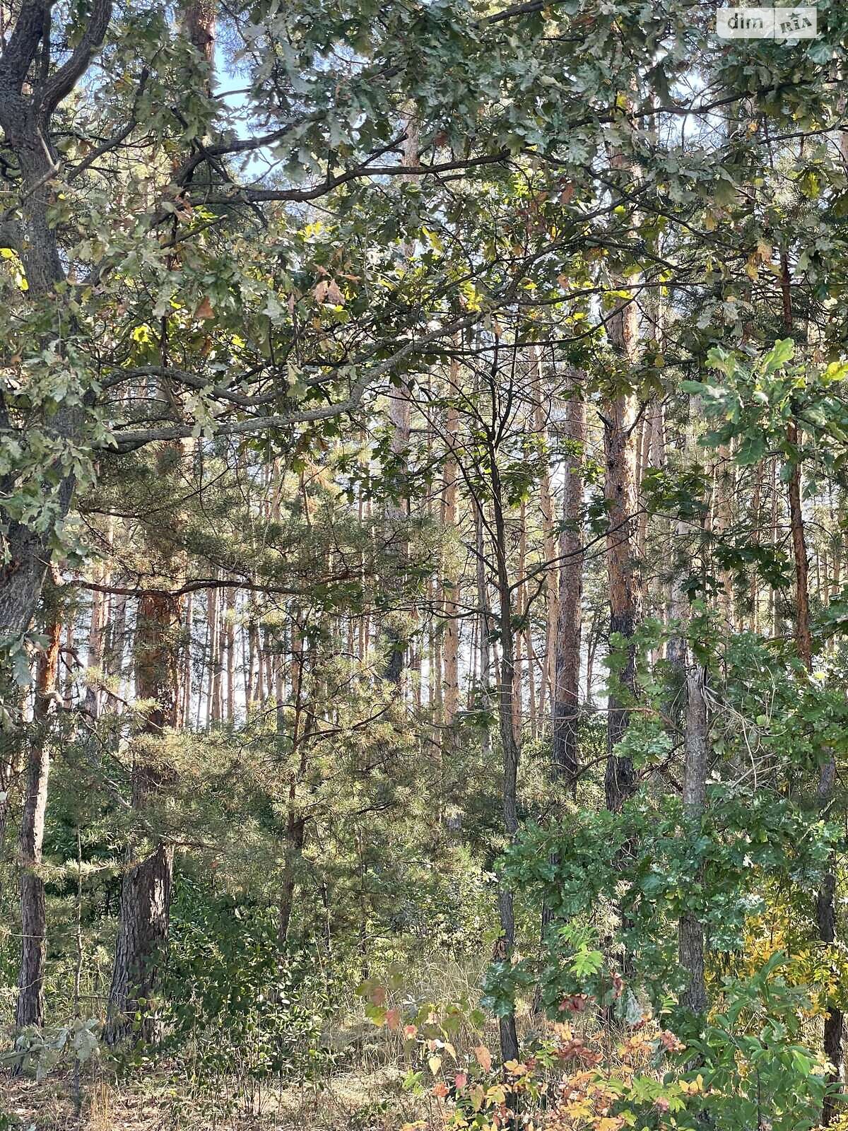 двоповерховий будинок з верандою, 186 кв. м, цегла. Продаж у Забуччі фото 1