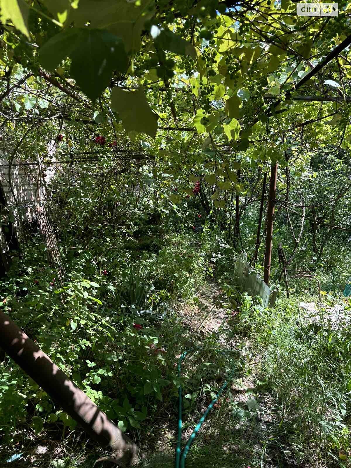 двоповерховий будинок з опаленням, 186 кв. м, цегла. Продаж у Забуччі фото 1