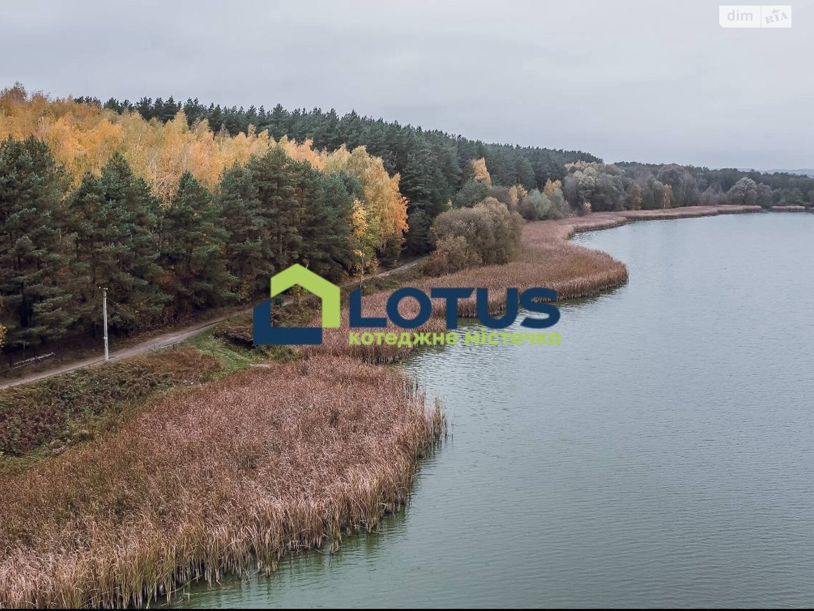 одноэтажный дом с гаражом, 175 кв. м, кирпич. Продажа в Забырье фото 1