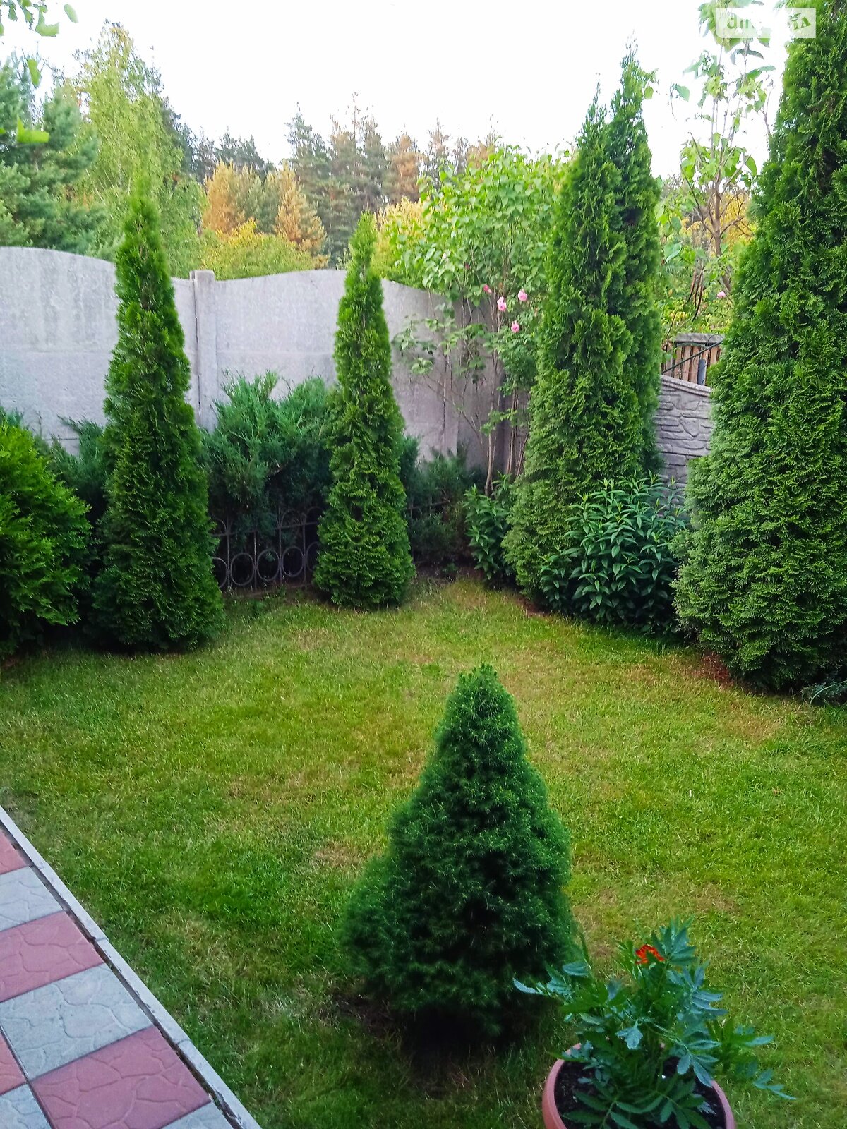 одноповерховий будинок з опаленням, 60 кв. м, цегла. Продаж у Задонецькому фото 1 одноповерховий будинок з опаленням, 60 кв. м, цегла. Продаж у Задонецькому фото 1