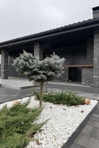 одноповерховий будинок з верандою, 100 кв. м, цегла. Продаж у Загальцях фото 2