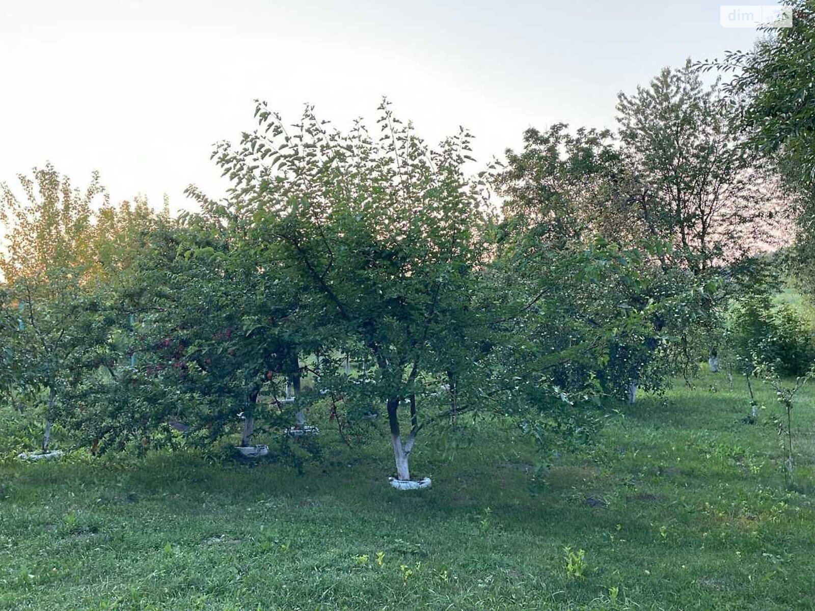 двоповерховий будинок бесідка, 83 кв. м, цегла. Продаж у Заливанщині фото 1 двоповерховий будинок бесідка, 83 кв. м, цегла. Продаж у Заливанщині фото 1
