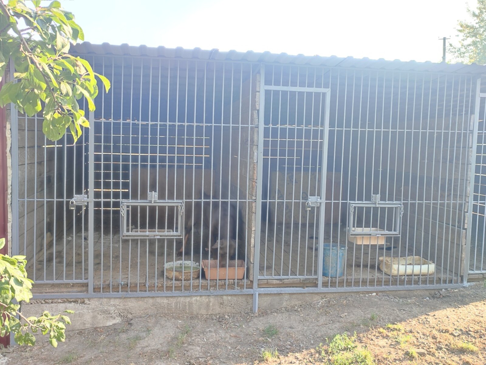 двоповерховий будинок бесідка, 83 кв. м, цегла. Продаж у Заливанщині фото 1 двоповерховий будинок бесідка, 83 кв. м, цегла. Продаж у Заливанщині фото 1
