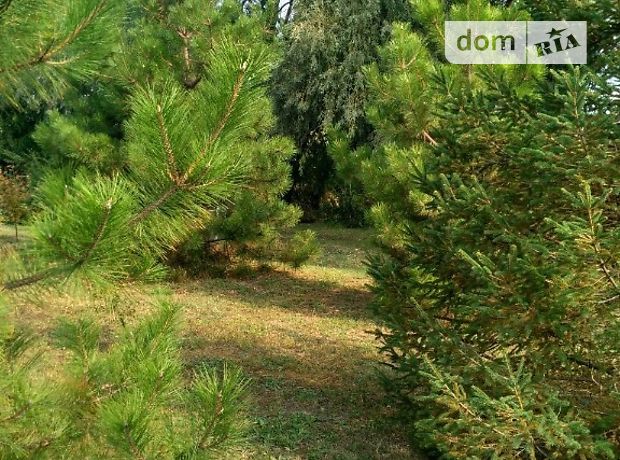 одноэтажный дом с камином, 70 кв. м, кирпич. Продажа в Беленьком (Запорожская обл.) фото 1 одноэтажный дом с камином, 70 кв. м, кирпич. Продажа в Беленьком (Запорожская обл.) фото 1