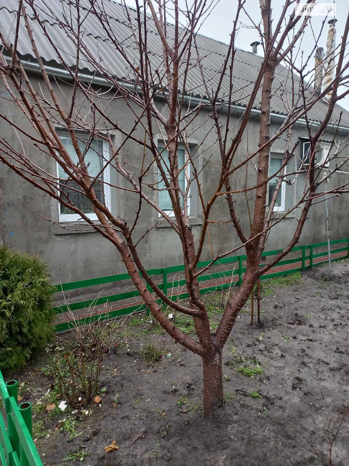 одноповерховий будинок, 70 кв. м, цегла. Продаж в Запоріжжі, район Дніпровський (Ленінський) фото 1 одноповерховий будинок, 70 кв. м, цегла. Продаж в Запоріжжі, район Дніпровський (Ленінський) фото 1