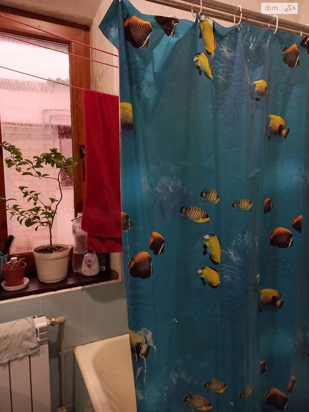 одноповерховий будинок, 70 кв. м, цегла. Продаж в Запоріжжі, район Дніпровський (Ленінський) фото 1 одноповерховий будинок, 70 кв. м, цегла. Продаж в Запоріжжі, район Дніпровський (Ленінський) фото 1