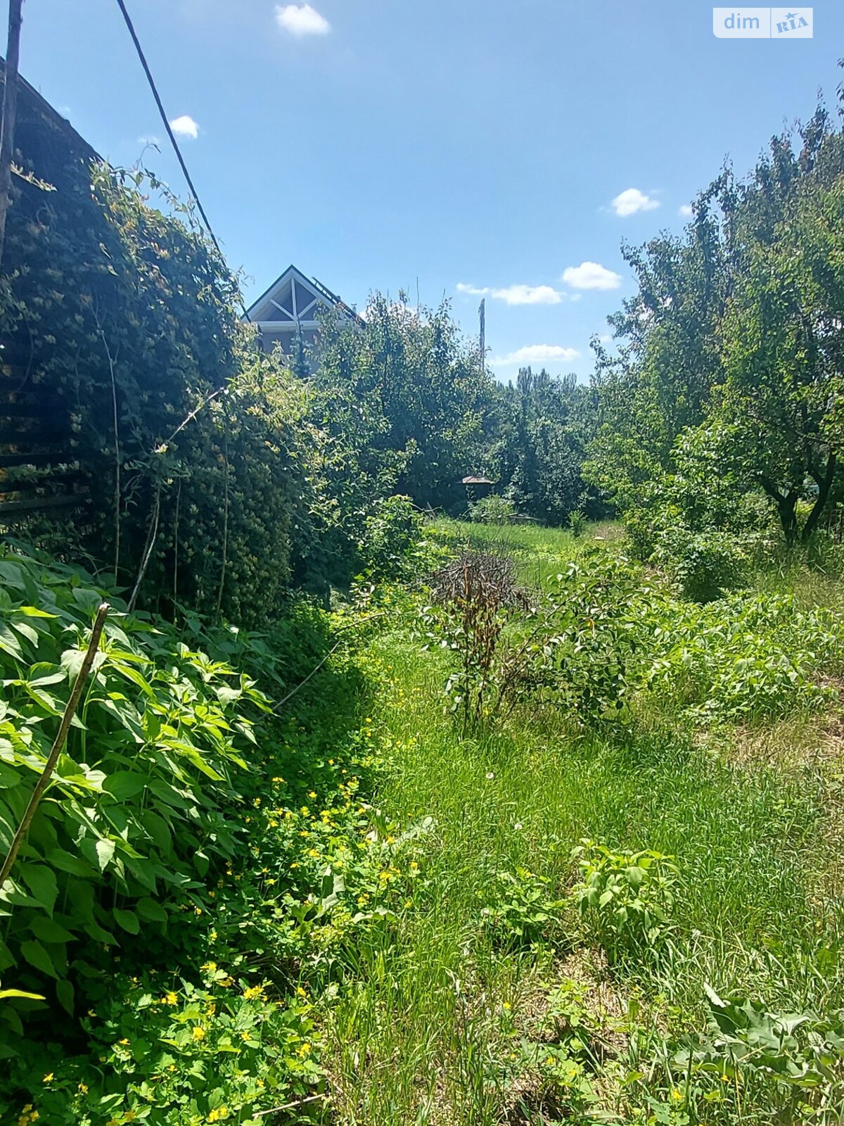одноповерховий будинок, 10 кв. м, цегла. Продаж в Запоріжжі, район Космос фото 1 одноповерховий будинок, 10 кв. м, цегла. Продаж в Запоріжжі, район Космос фото 1