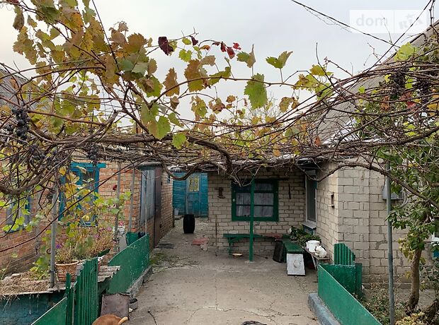 одноповерховий будинок з підвалом, 51 кв. м, цегла. Продаж в Новому Запоріжжі (Запорізька обл.) фото 1 одноповерховий будинок з підвалом, 51 кв. м, цегла. Продаж в Новому Запоріжжі (Запорізька обл.) фото 1