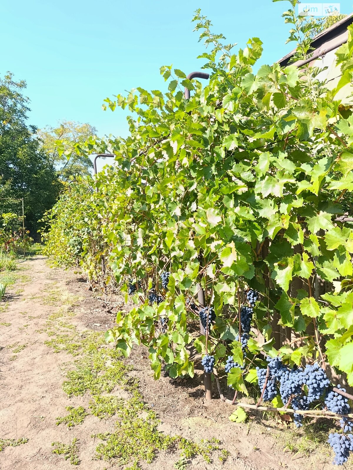 одноповерховий будинок з гаражем, 151.3 кв. м, цегла. Продаж в Запоріжжі, район Павло-Кічкас фото 1 одноповерховий будинок з гаражем, 151.3 кв. м, цегла. Продаж в Запоріжжі, район Павло-Кічкас фото 1