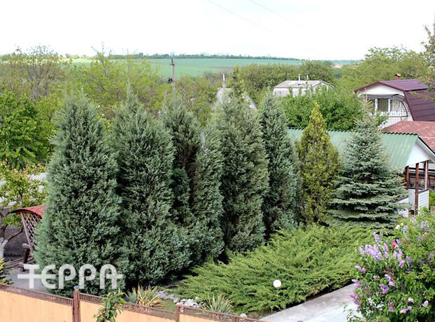 двухэтажный дом с камином, 90 кв. м, кирпич. Продажа в Вольнянске (Запорожская обл.) фото 1 двухэтажный дом с камином, 90 кв. м, кирпич. Продажа в Вольнянске (Запорожская обл.) фото 1