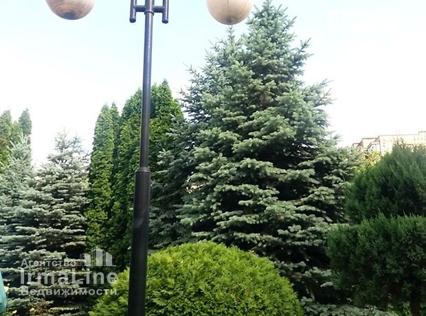 двоповерховий будинок з каміном, 350 кв. м, цегла. Продаж в Запоріжжі, район Вознесенівський (Орджонікідзевський) фото 1 двоповерховий будинок з каміном, 350 кв. м, цегла. Продаж в Запоріжжі, район Вознесенівський (Орджонікідзевський) фото 1