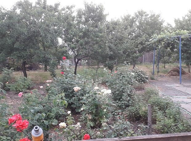 двоповерховий будинок з садом, 80 кв. м, шлакоблок. Продаж в Запоріжжі, район Заводський фото 1 двоповерховий будинок з садом, 80 кв. м, шлакоблок. Продаж в Запоріжжі, район Заводський фото 1