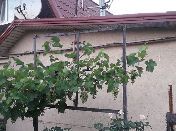 двоповерховий будинок з садом, 80 кв. м, шлакоблок. Продаж в Запоріжжі, район Заводський фото 1 двоповерховий будинок з садом, 80 кв. м, шлакоблок. Продаж в Запоріжжі, район Заводський фото 1