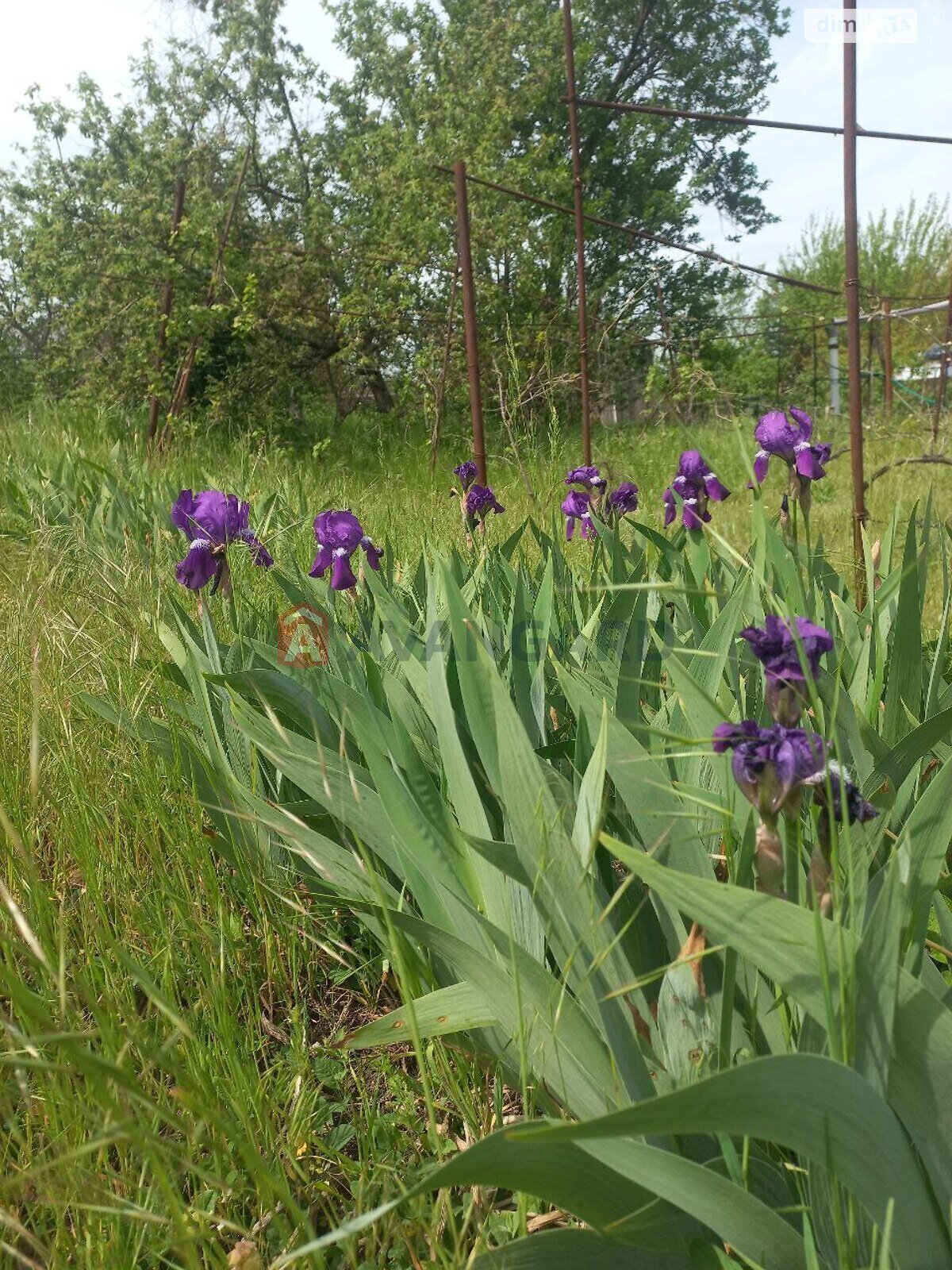 одноповерховий будинок, 5 кв. м, кирпич. Продаж в Запоріжжі, район Заводський фото 1 одноповерховий будинок, 5 кв. м, кирпич. Продаж в Запоріжжі, район Заводський фото 1