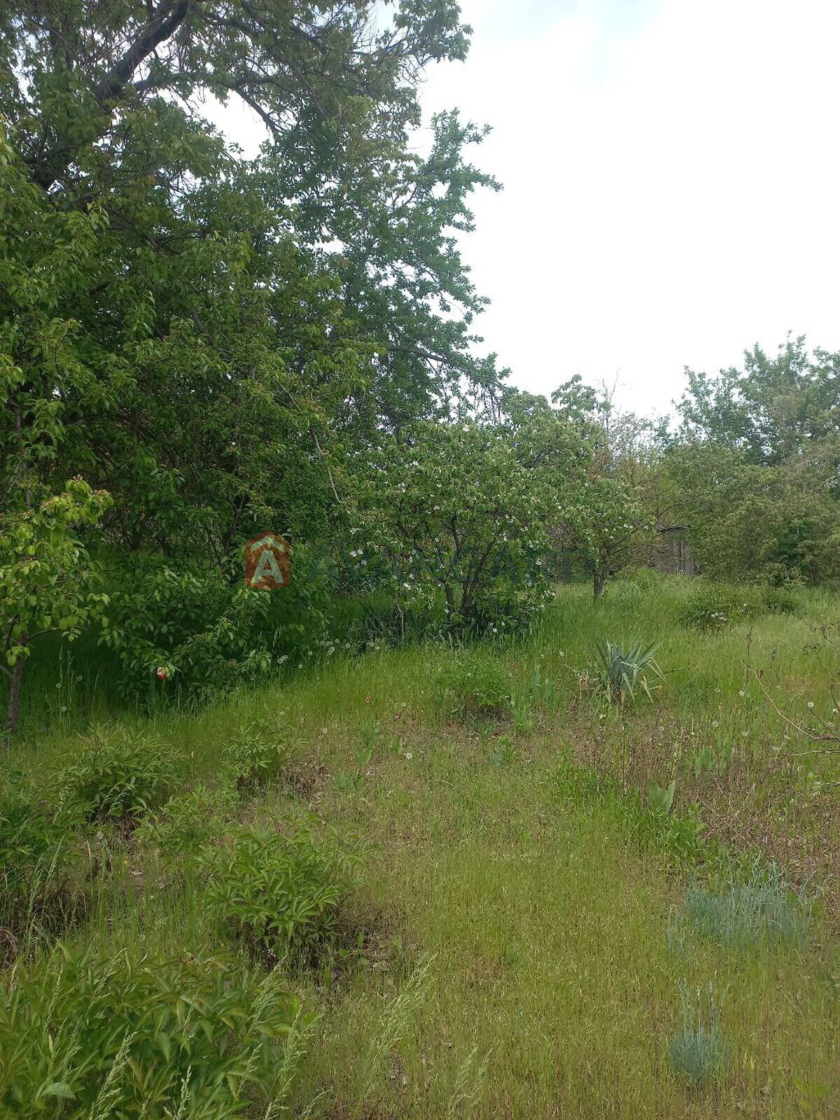 одноповерховий будинок, 5 кв. м, кирпич. Продаж в Запоріжжі, район Заводський фото 1 одноповерховий будинок, 5 кв. м, кирпич. Продаж в Запоріжжі, район Заводський фото 1