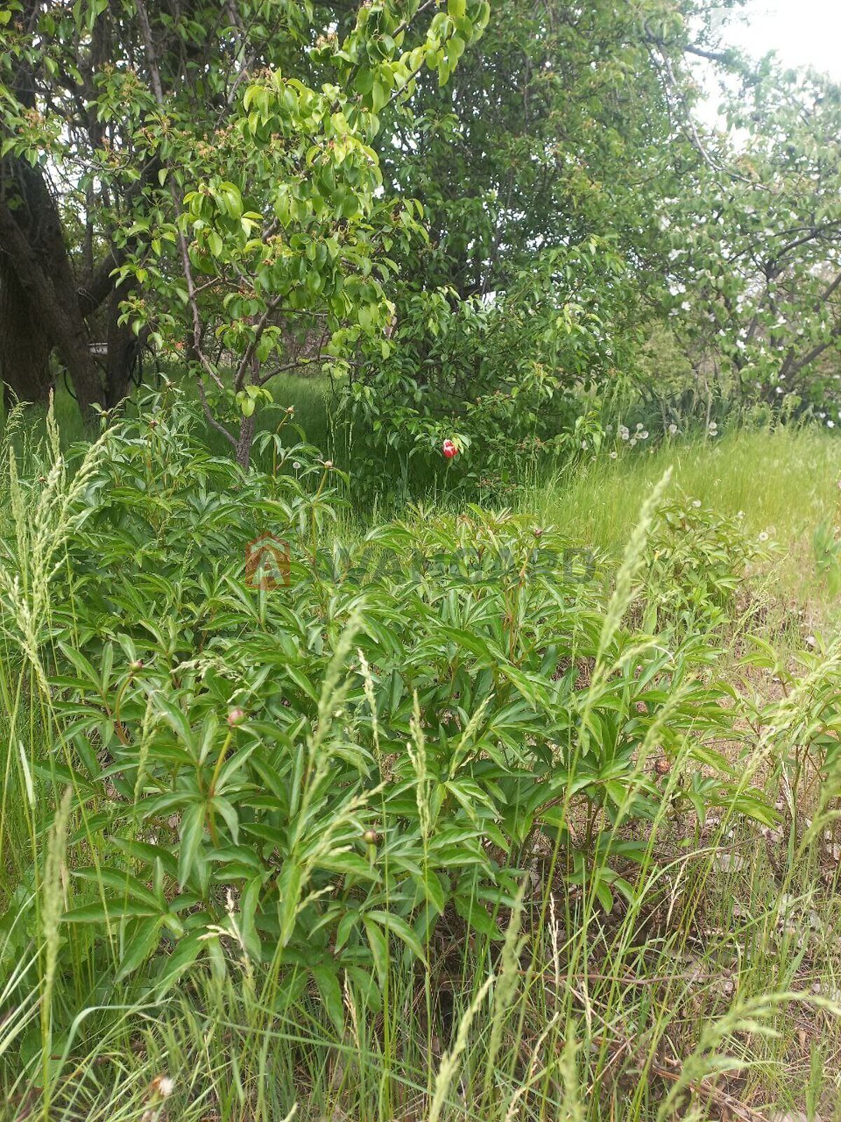 одноповерховий будинок, 5 кв. м, кирпич. Продаж в Запоріжжі, район Заводський фото 1 одноповерховий будинок, 5 кв. м, кирпич. Продаж в Запоріжжі, район Заводський фото 1