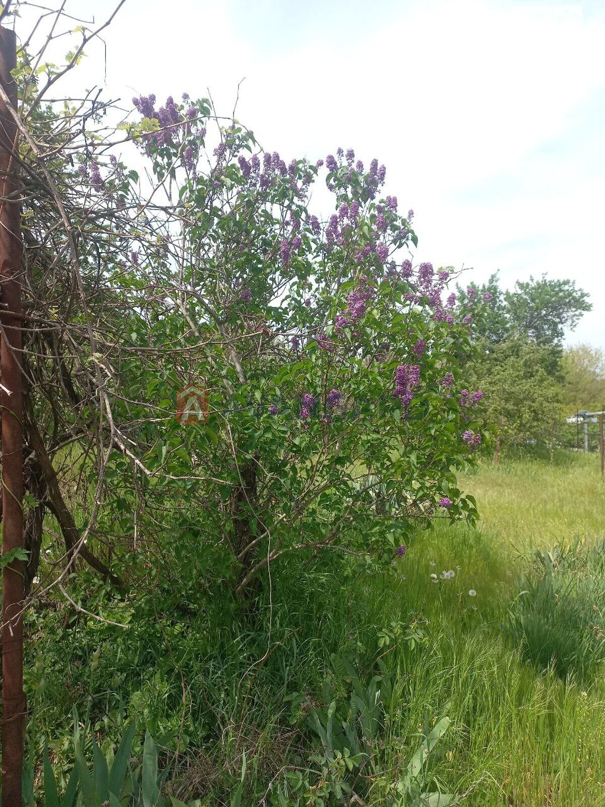 одноповерховий будинок, 5 кв. м, кирпич. Продаж в Запоріжжі, район Заводський фото 1 одноповерховий будинок, 5 кв. м, кирпич. Продаж в Запоріжжі, район Заводський фото 1