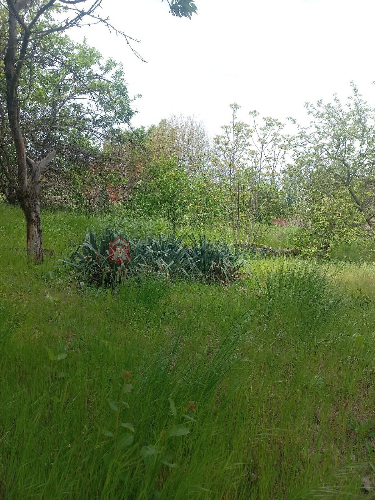 одноповерховий будинок, 5 кв. м, кирпич. Продаж в Запоріжжі, район Заводський фото 1 одноповерховий будинок, 5 кв. м, кирпич. Продаж в Запоріжжі, район Заводський фото 1