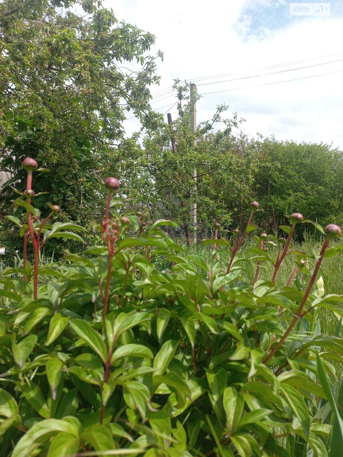 одноповерховий будинок, 5 кв. м, кирпич. Продаж в Запоріжжі, район Заводський фото 1 одноповерховий будинок, 5 кв. м, кирпич. Продаж в Запоріжжі, район Заводський фото 1