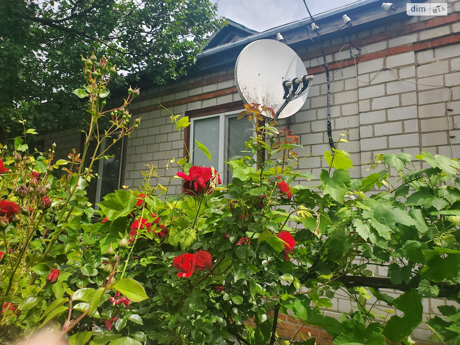 одноповерховий будинок з гаражем, 115 кв. м, цегла. Продаж у Зарігу фото 1 одноповерховий будинок з гаражем, 115 кв. м, цегла. Продаж у Зарігу фото 1