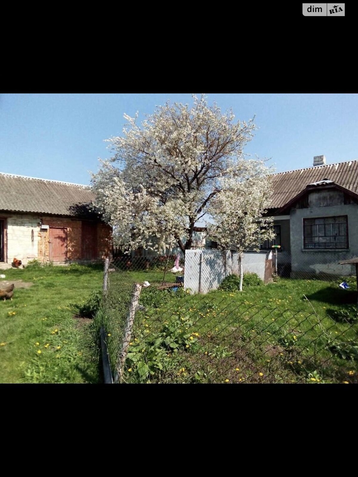 одноэтажный дом, 54.9 кв. м, кирпич. Продажа в Зарубинцах фото 1 одноэтажный дом, 54.9 кв. м, кирпич. Продажа в Зарубинцах фото 1