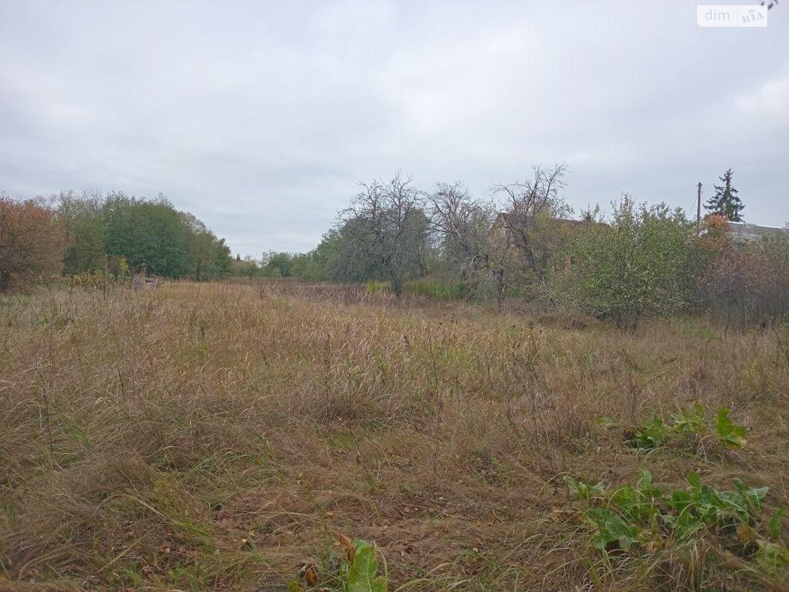 одноэтажный дом, 100.2 кв. м, брус. Продажа в Зарудье фото 1