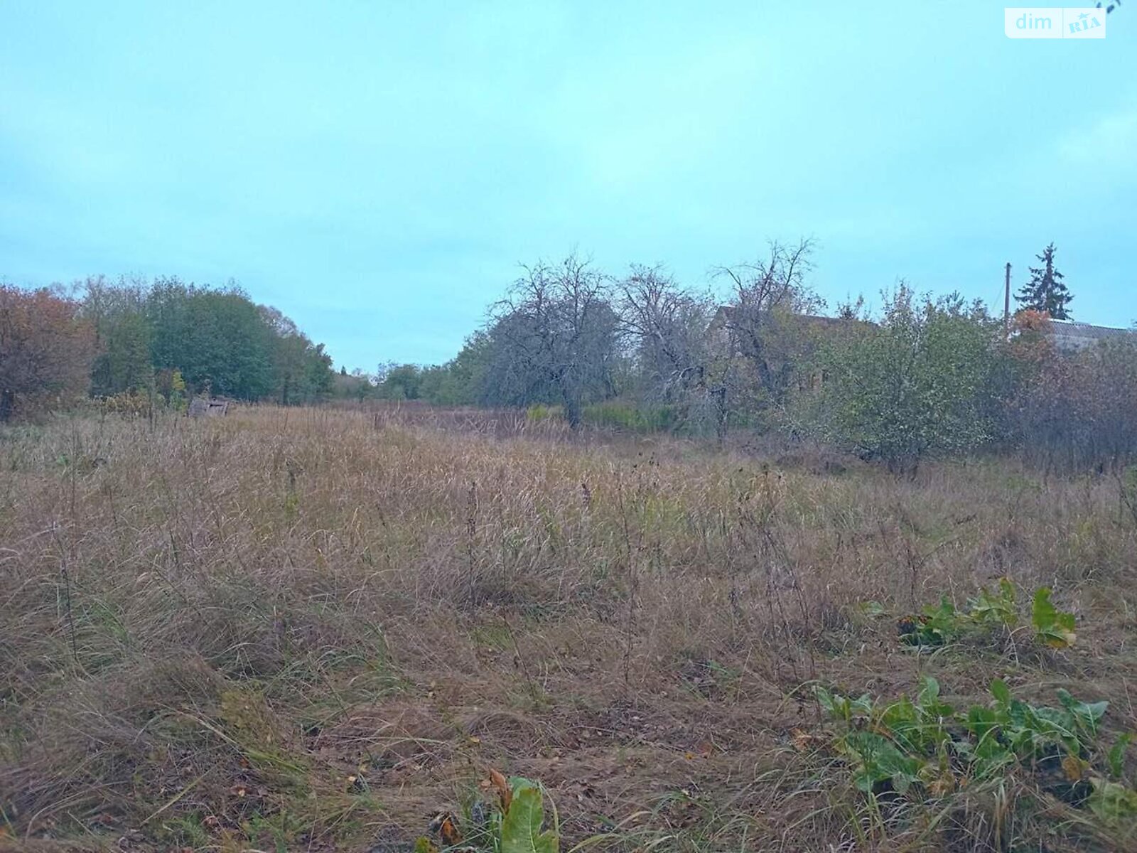 одноэтажный дом, 100.2 кв. м, брус. Продажа в Зарудье фото 1