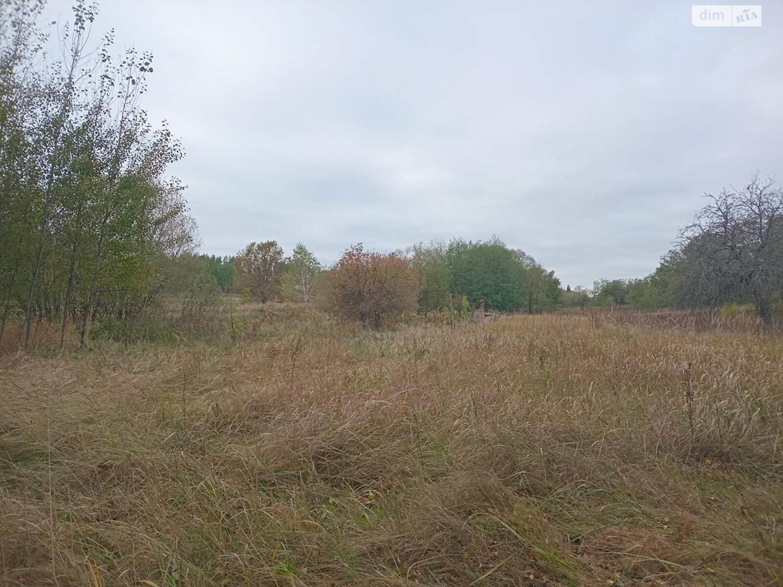 одноэтажный дом, 100.2 кв. м, брус. Продажа в Зарудье фото 1