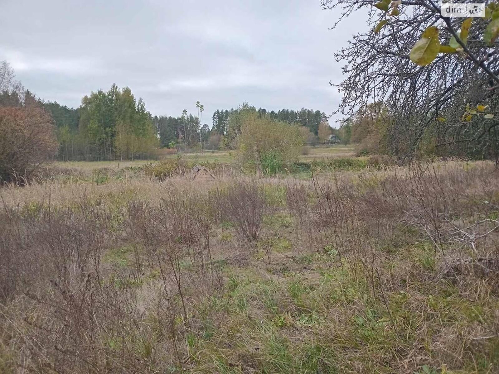 одноэтажный дом, 100.2 кв. м, брус. Продажа в Зарудье фото 1