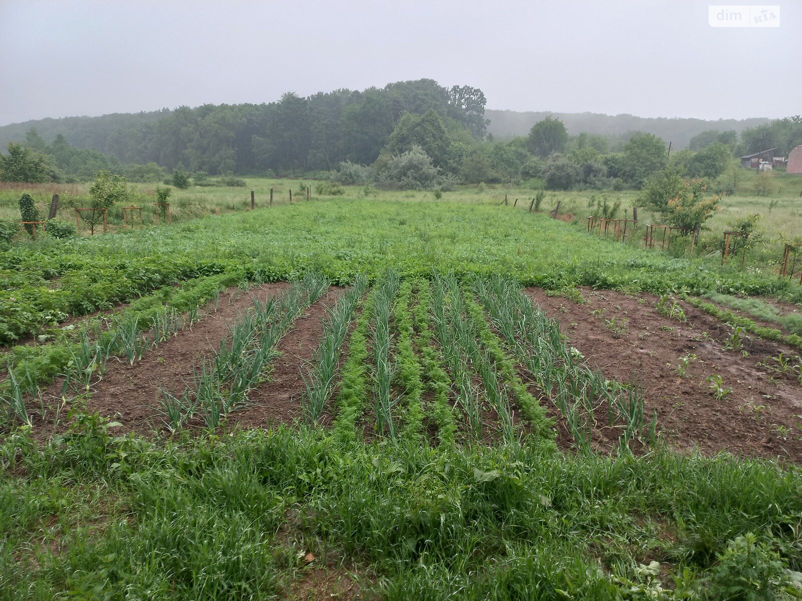 двухэтажный дом, 250 кв. м, кирпич. Продажа в Зарудцах фото 1 двухэтажный дом, 250 кв. м, кирпич. Продажа в Зарудцах фото 1