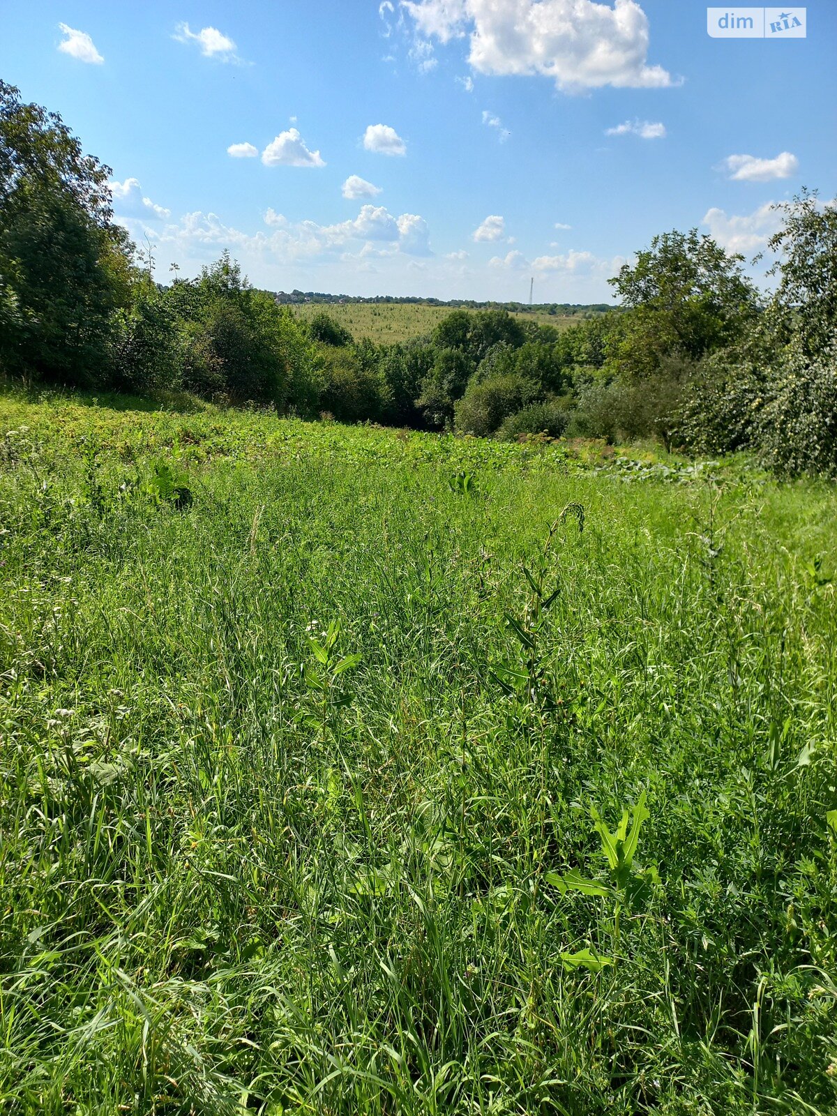 одноповерховий будинок, 66.3 кв. м, цегла. Продаж у Зарванцях фото 1 одноповерховий будинок, 66.3 кв. м, цегла. Продаж у Зарванцях фото 1