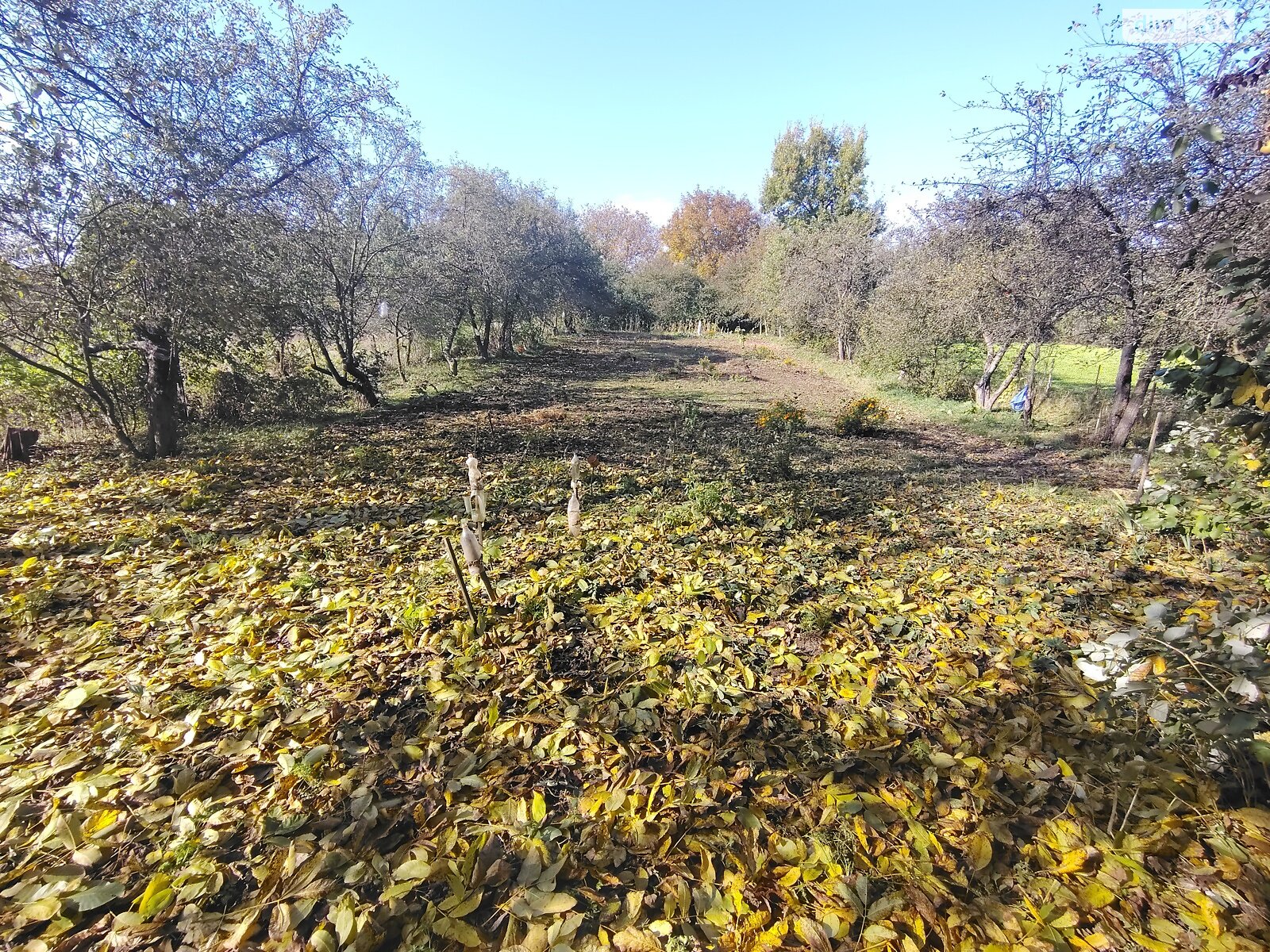 одноповерховий будинок з гаражем, 120 кв. м, цегла. Продаж у Зарванцях фото 1