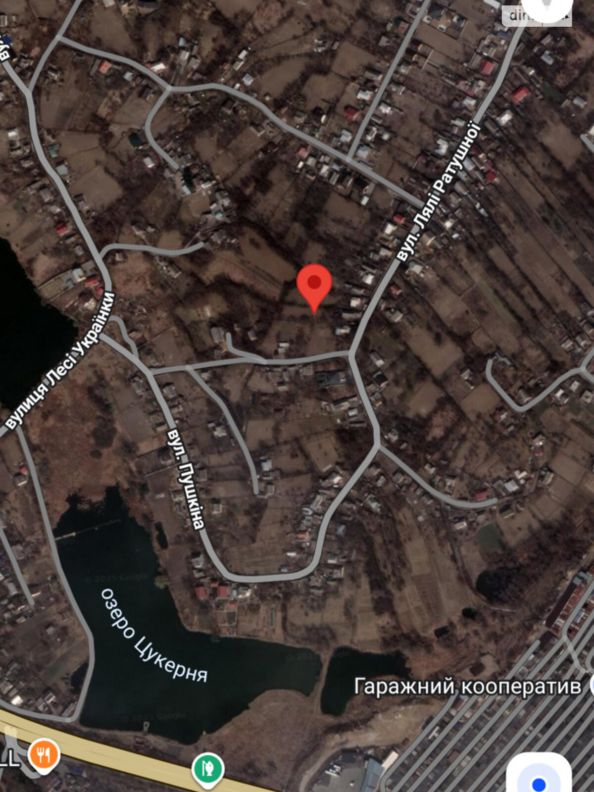 одноповерховий будинок з гаражем, 120 кв. м, цегла. Продаж у Зарванцях фото 1