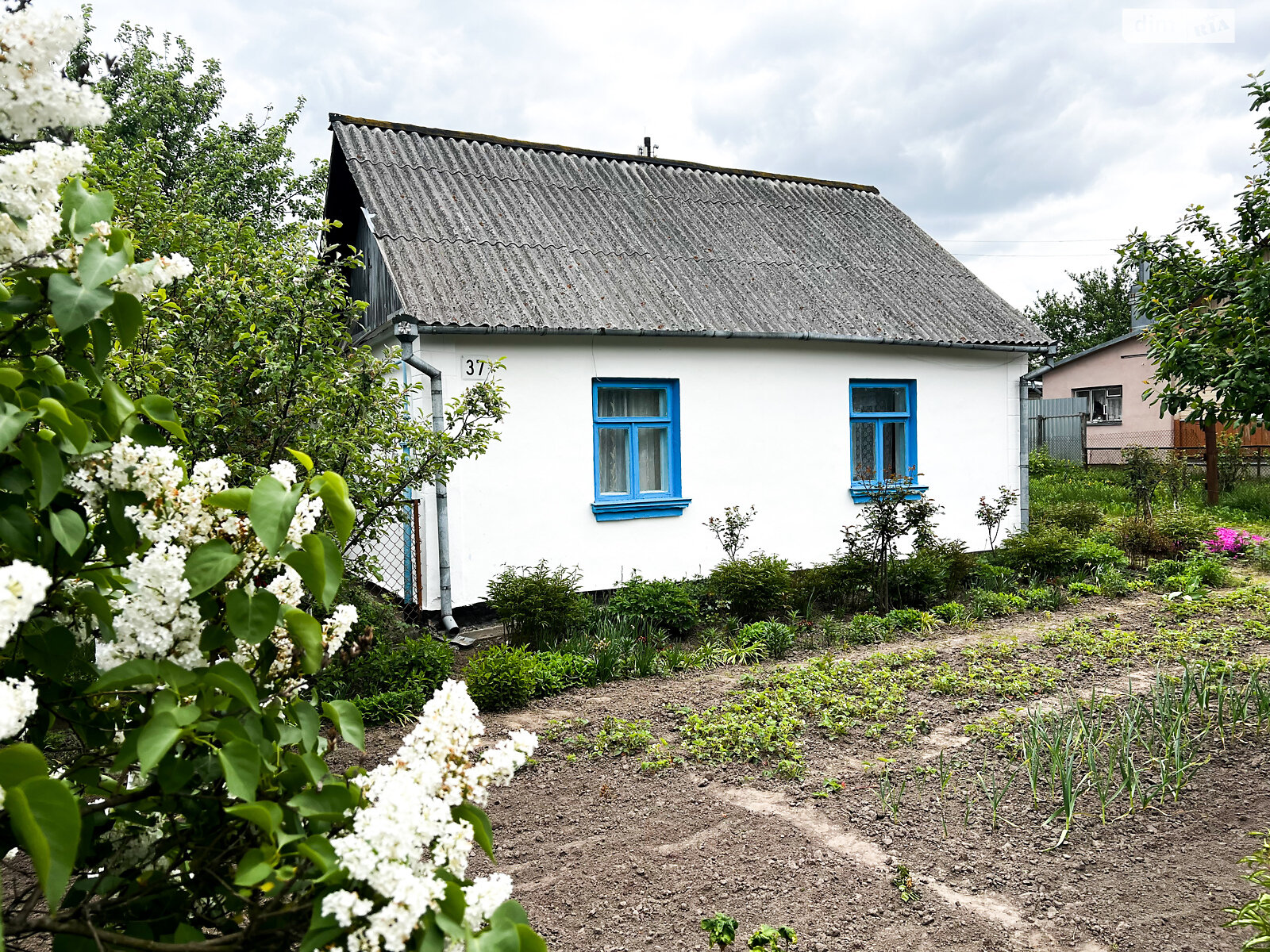 одноэтажный дом, 61.7 кв. м, шлакоблок. Продажа в Заре фото 1 одноэтажный дом, 61.7 кв. м, шлакоблок. Продажа в Заре фото 1