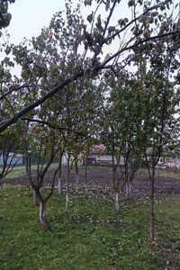 одноповерховий будинок, 45 кв. м, кирпич саманный. Продаж в Заставній, район Заставна фото 2